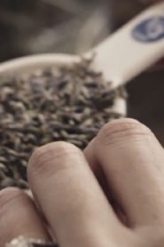 Non Western 2020 en Streaming HD Gratuit !