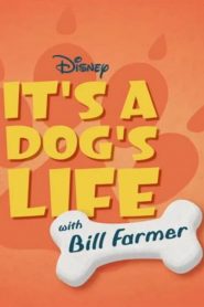 It’s A Dog’s Life 2020 en Streaming HD Gratuit !