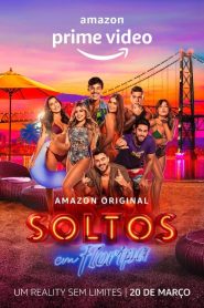 Soltos em Floripa 2020 en Streaming HD Gratuit !