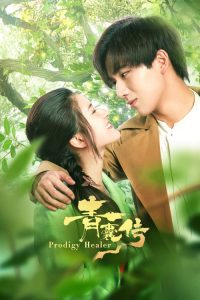 青囊传 2019 en Streaming HD Gratuit !