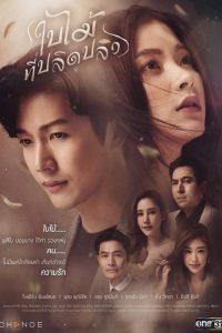 ใบไม้ที่ปลิดปลิว 2019 en Streaming HD Gratuit !