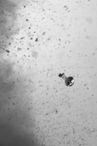 Fluorescent 2020 en Streaming HD Gratuit !