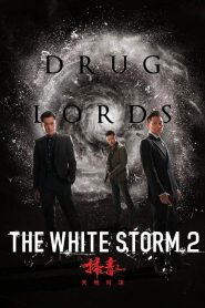 The White Storm 2 : Drug Lords 2019 en Streaming HD Gratuit !