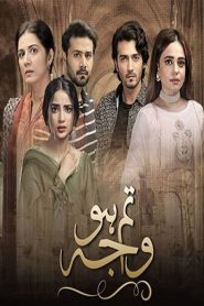 Tum Ho Wajah 2020 en Streaming HD Gratuit !