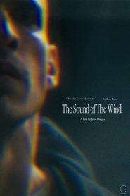 The Sound of the Wind 2020 en Streaming HD Gratuit !
