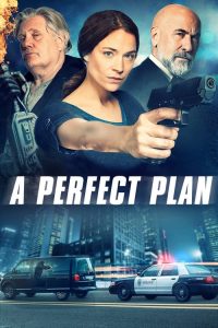 A Perfect Plan 2020 en Streaming HD Gratuit !