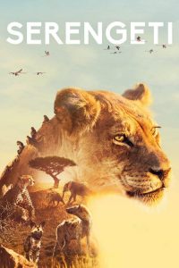 Serengeti 2019 en Streaming HD Gratuit !