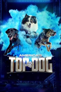 America’s Top Dog 2020 en Streaming HD Gratuit !