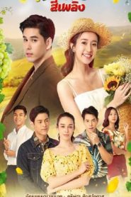 Tharntawan See Plerng (2021) 2021 en Streaming HD Gratuit !