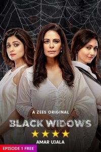Black Widows 2020 en Streaming HD Gratuit !