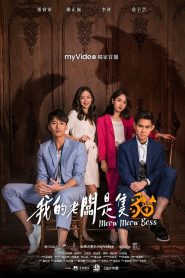 我的老闆是隻貓 2021 en Streaming HD Gratuit !